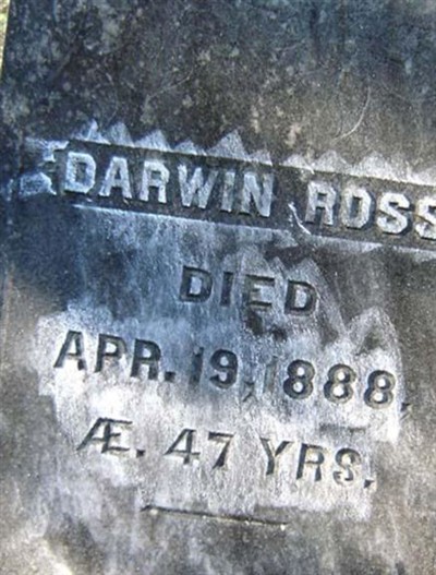 Darwin Ross on Sysoon