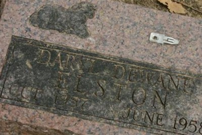 Daryl Dewane Elston on Sysoon
