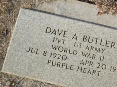 Dave A. Butler on Sysoon