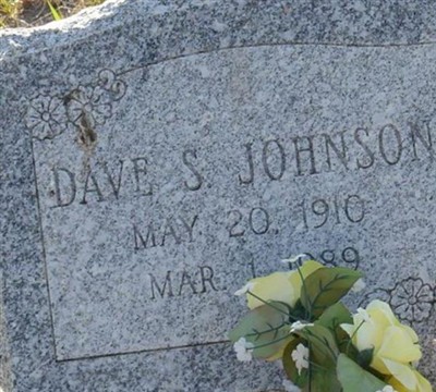 Dave S. Johnson on Sysoon