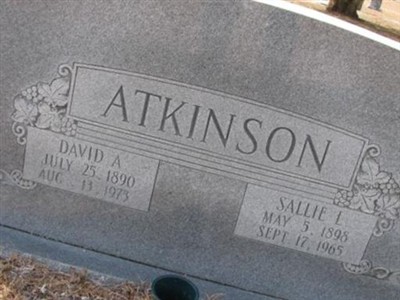 David A. Atkinson on Sysoon