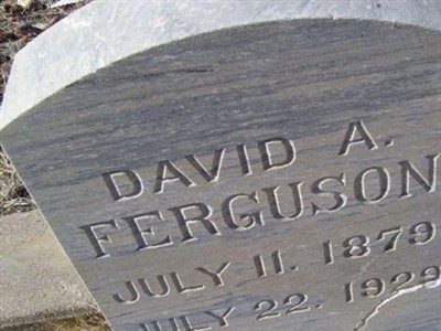 David A. Ferguson on Sysoon