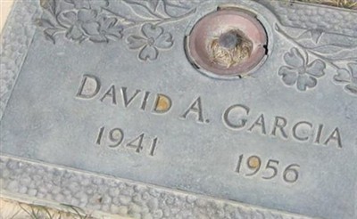 David A. Garcia on Sysoon