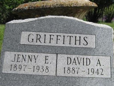 David A. Griffiths on Sysoon