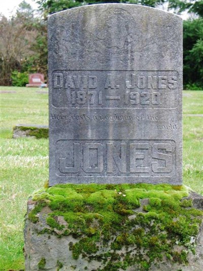 David A. Jones on Sysoon