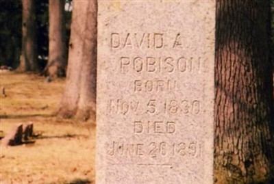 David A. Robison on Sysoon