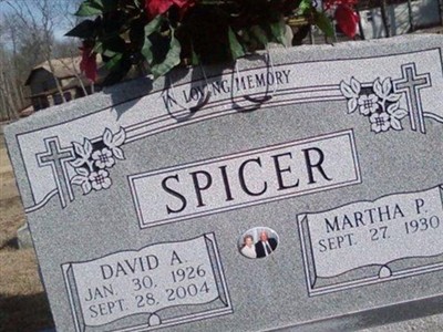 David A. Spicer on Sysoon