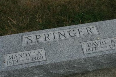 David A Springer on Sysoon