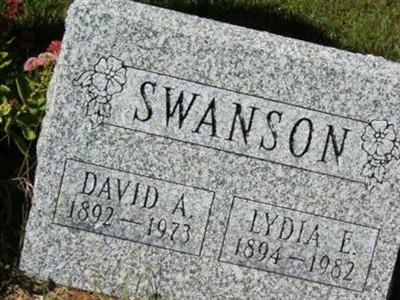 David A. Swanson on Sysoon