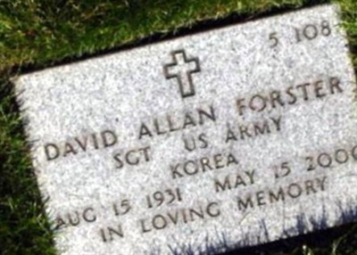 David Allan Forster on Sysoon