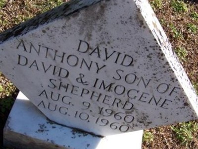 David Anthony Shepherd on Sysoon