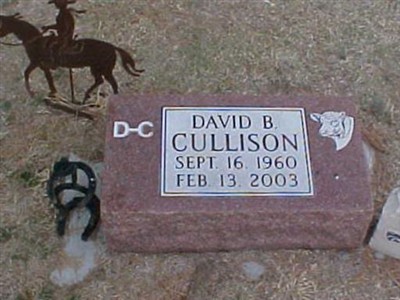 David B Cullison on Sysoon