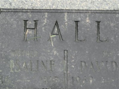 David B Hall on Sysoon