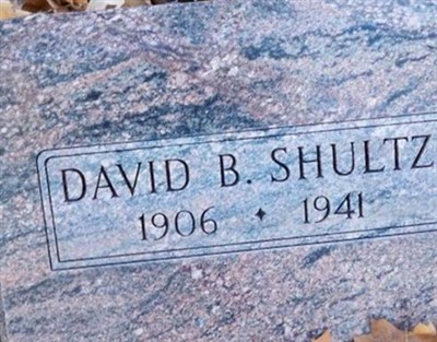 David B Shultz on Sysoon
