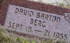 David Barton Berg on Sysoon