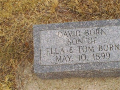 David Born on Sysoon