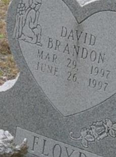 David Brandon Floyd on Sysoon