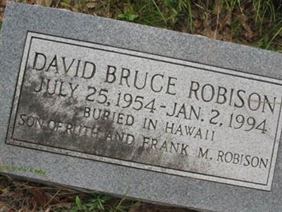 David Bruce Robison on Sysoon