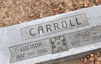 David C. Carroll on Sysoon