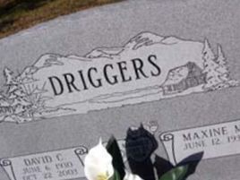 David C. Driggers on Sysoon
