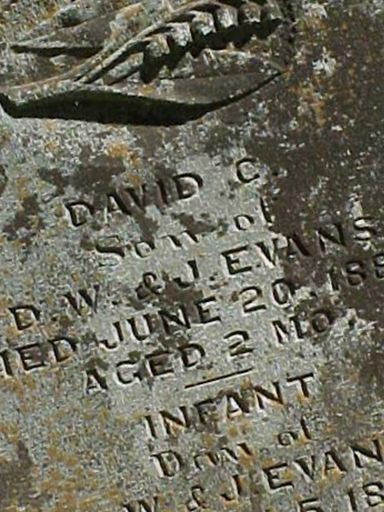 David C Evans on Sysoon