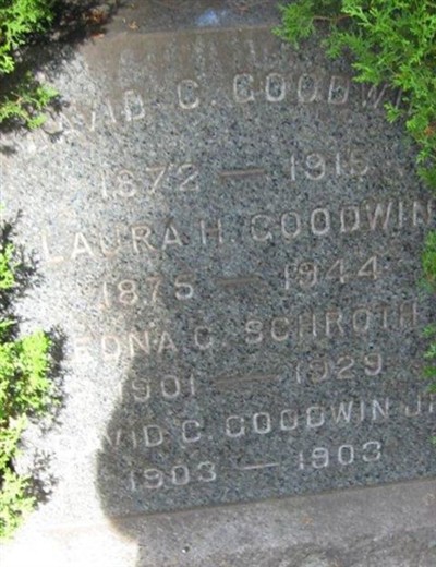 David C. Goodwin on Sysoon
