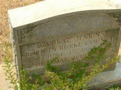 David C. Jenkins on Sysoon
