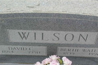 David C Wilson on Sysoon