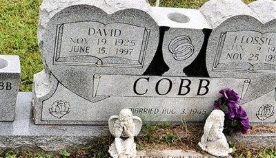 David Cobb on Sysoon