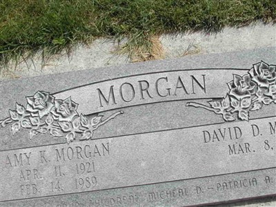 David D Morgan on Sysoon