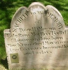 David D Morgan on Sysoon