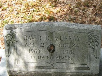 David D. Murray on Sysoon