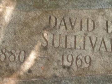 David D Sullivan on Sysoon