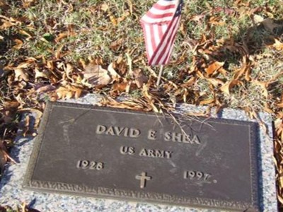 David E Shea on Sysoon