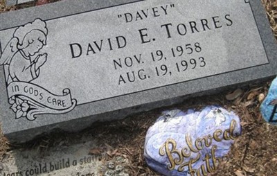 David E Torres on Sysoon