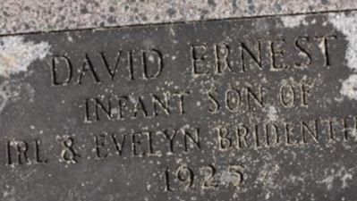 David Ernest Bridenthal on Sysoon