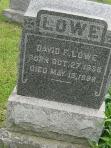 David Fleming Lowe on Sysoon