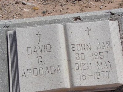 David G Apodaca on Sysoon