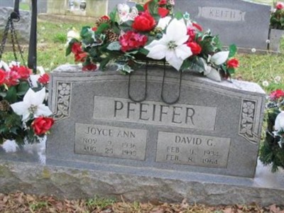 David G. Pfeifer on Sysoon