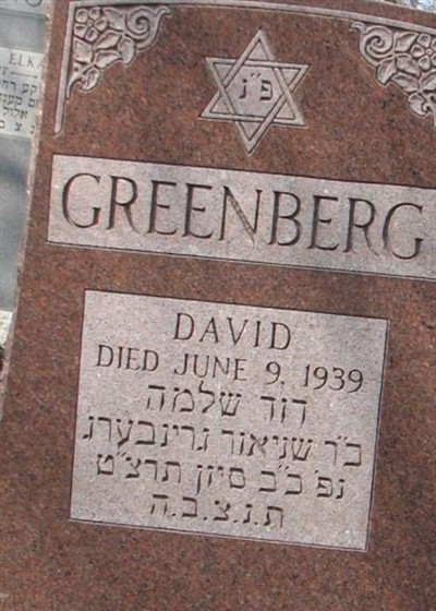 David Greenberg on Sysoon