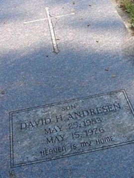 David H. Andresen on Sysoon