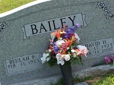 David H. Bailey on Sysoon