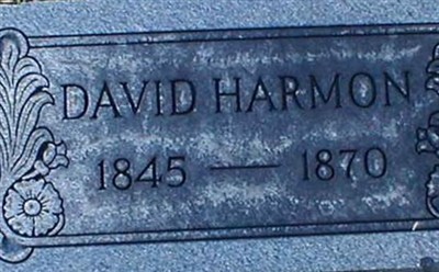 David Harmon on Sysoon
