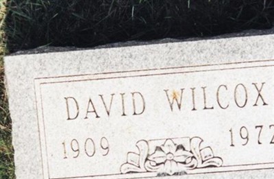 David Harry Wilcox on Sysoon