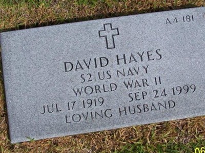 David Hayes on Sysoon