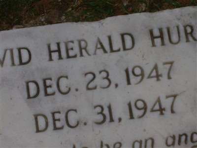 David Herald Hurst on Sysoon