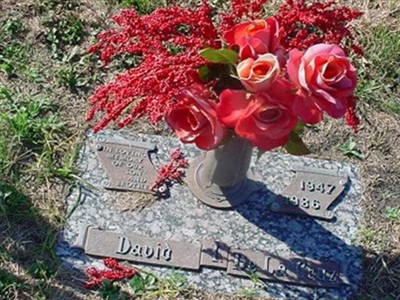 David I. DeLaCruz on Sysoon