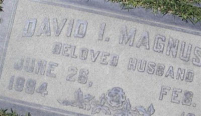 David I. Magnuson on Sysoon