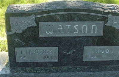 David Isaac Watson on Sysoon