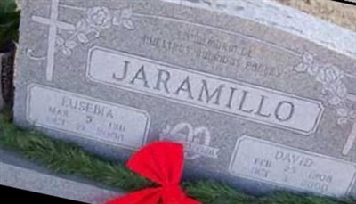 David Jaramillo on Sysoon